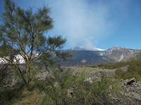 anobello-01042012 094